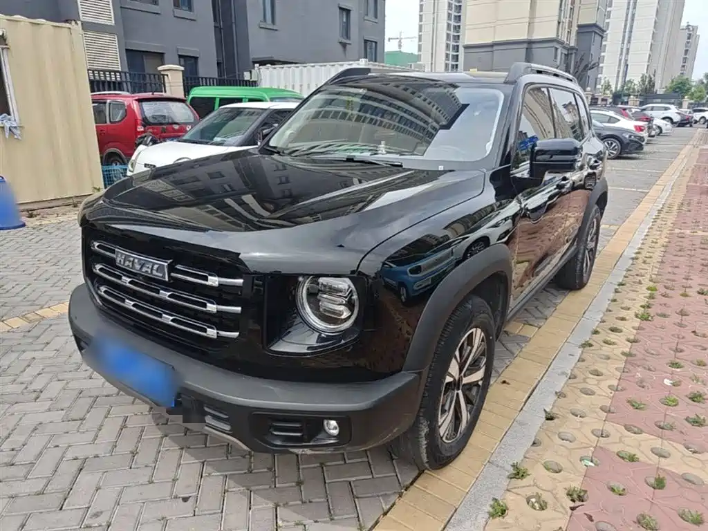 Havaldog 2022 1.5T DCT two-wheel drive Labrador version купить на сайте DeffCars