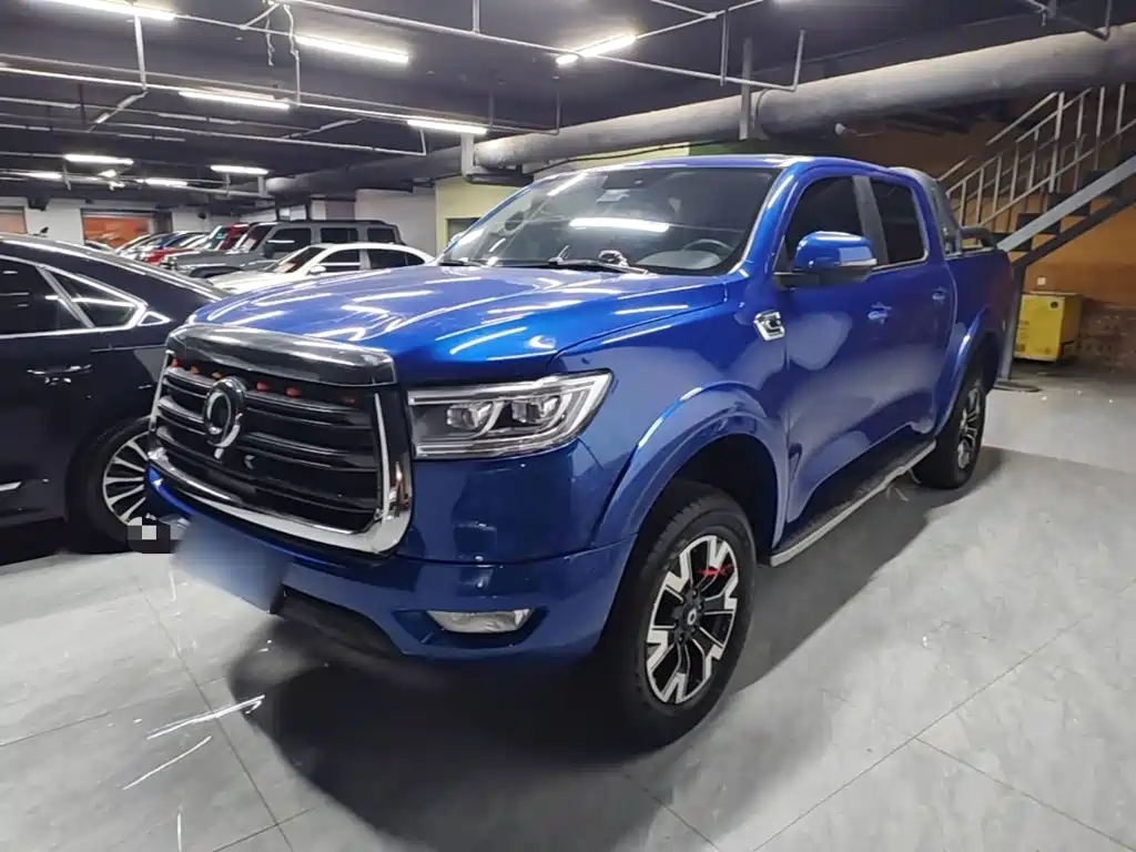 Cannon 2019 2.0T automatic gasoline four-wheel drive comfort version GW4C20B купить на сайте DeffCars
