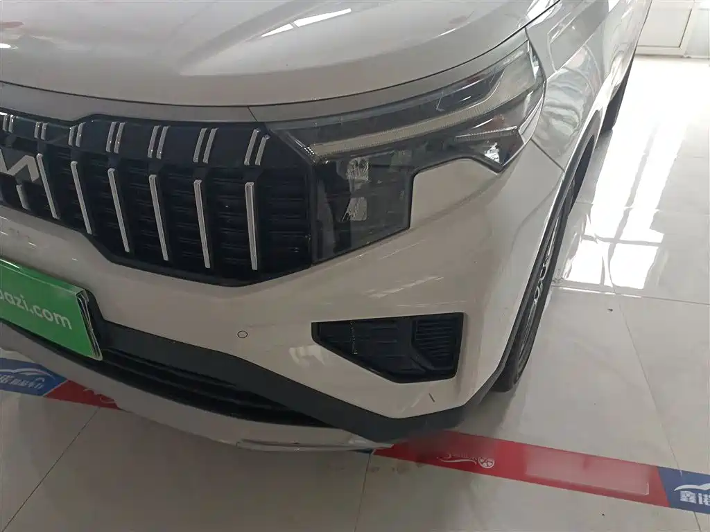 Zhipao 2021 Ace 2.0L Wonderful Edition купить на сайте DeffCars