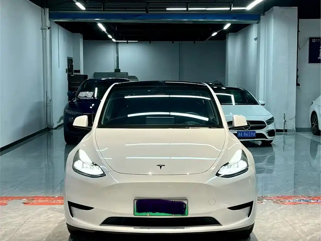 Model Y 2024 rear-wheel drive version купить на сайте DeffCars