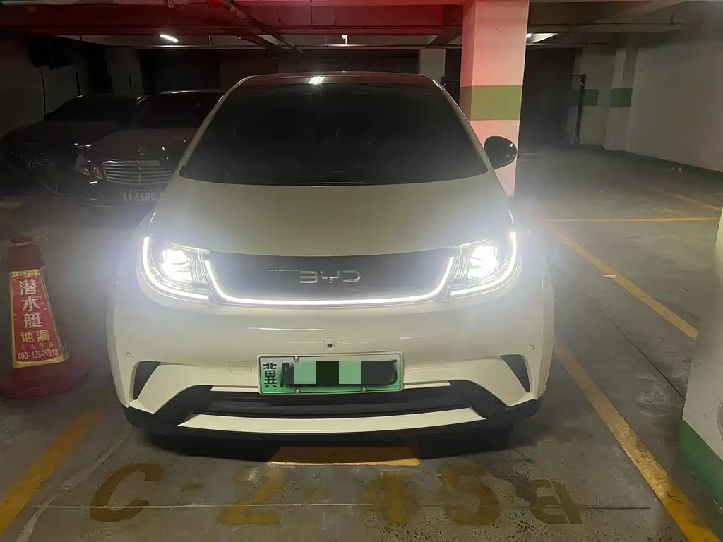 Dolphin 2023 420km Fashion Edition купить на сайте DeffCars