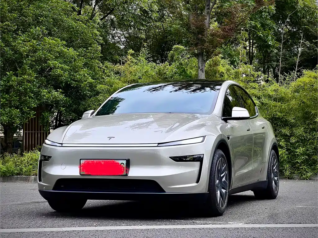 Model Y L 2025 long-range all-wheel drive version купить на сайте DeffCars