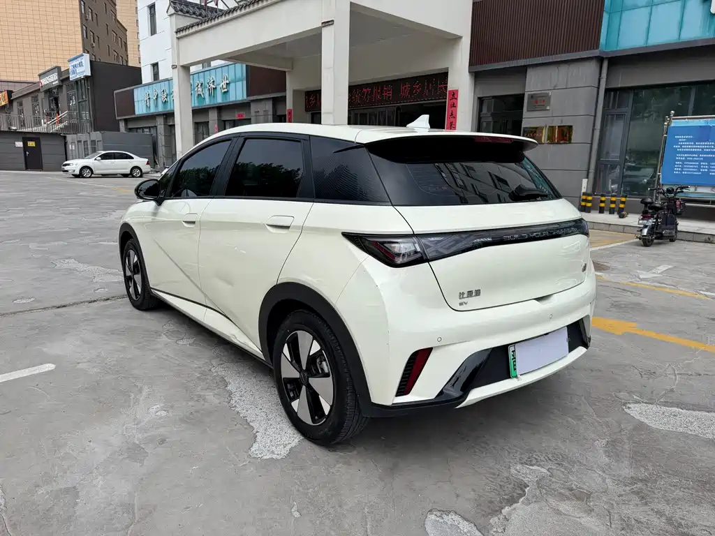 Dolphin 2023 420km Fashion Edition купить на сайте DeffCars