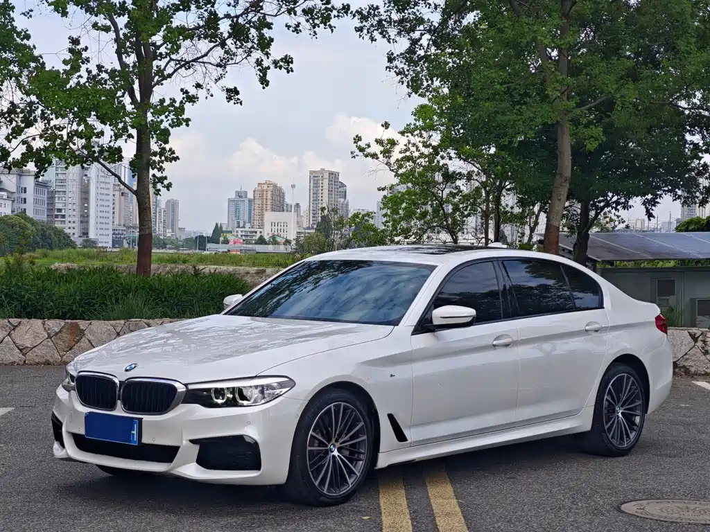 BMW 5 Series 2019 facelift 530Li leading M sports package купить на сайте DeffCars