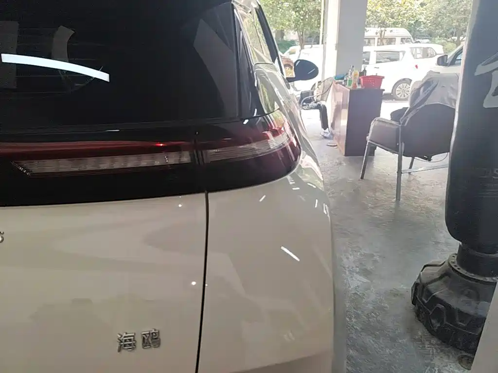 Seagull 2024 Honor Edition 305km Vitality купить на сайте DeffCars