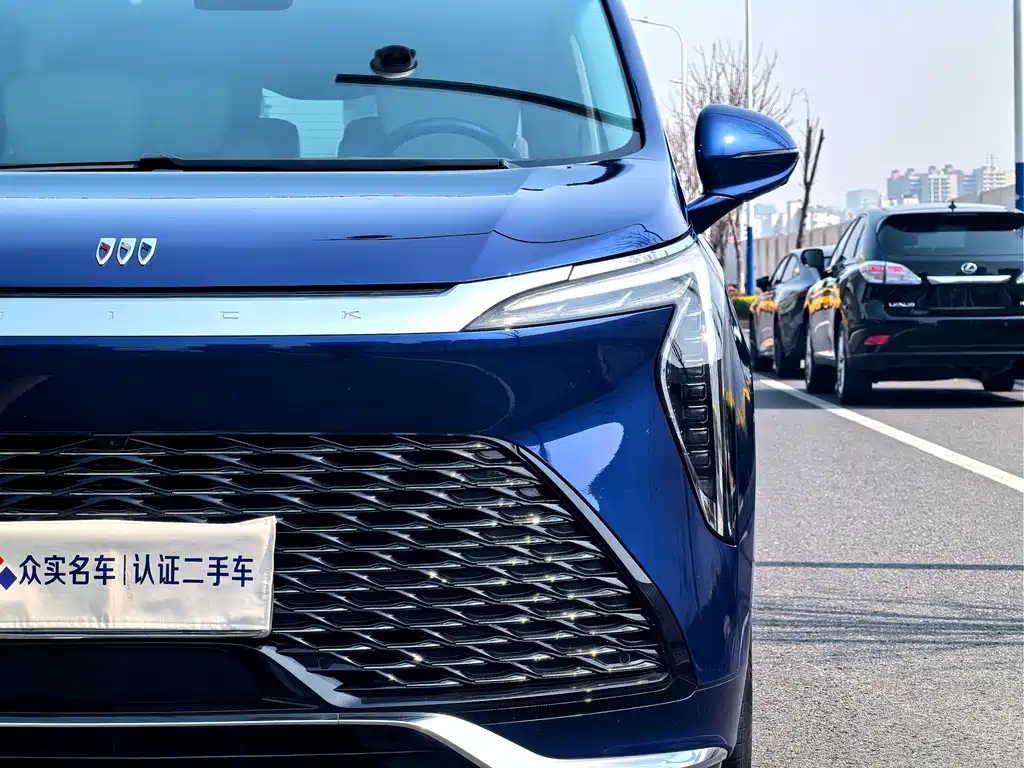 Century 2023 2.0T Six-seater Yuanshi Edition купить на сайте DeffCars