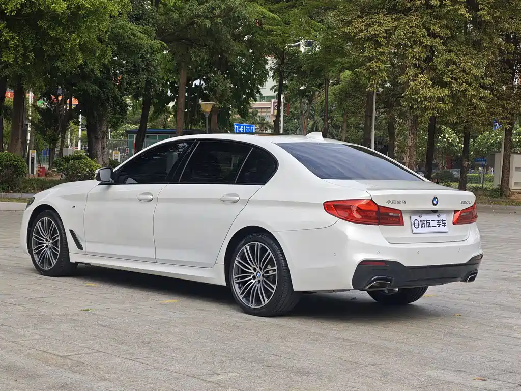 BMW 5 Series 2019 530Li Leading M Sports Package купить на сайте DeffCars