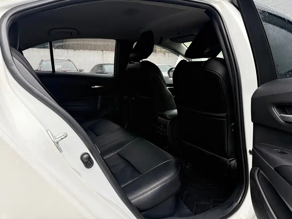 Ralink 2023 Intelligent Electric Hybrid Dual Engine 1.8L Leading Edition купить на сайте DeffCars