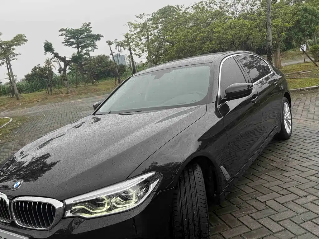 BMW 5 Series 2020 530Li Exclusive Luxury Package купить на сайте DeffCars
