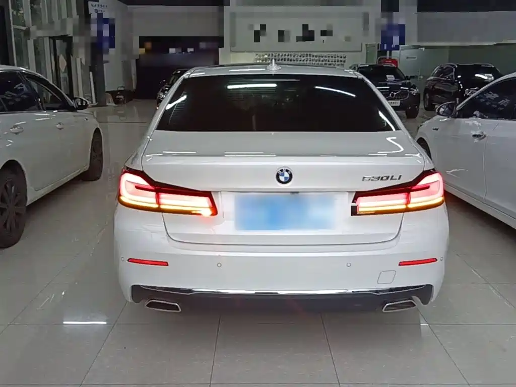 BMW 5 Series 2021 530Li Leading Luxury Package купить на сайте DeffCars