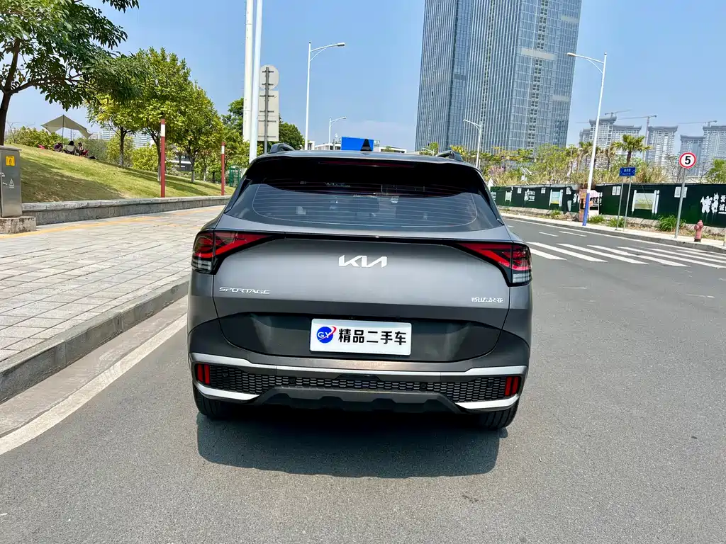 Lion Platinum expands the world 2023 2.0T two-wheel drive flagship version купить на сайте DeffCars