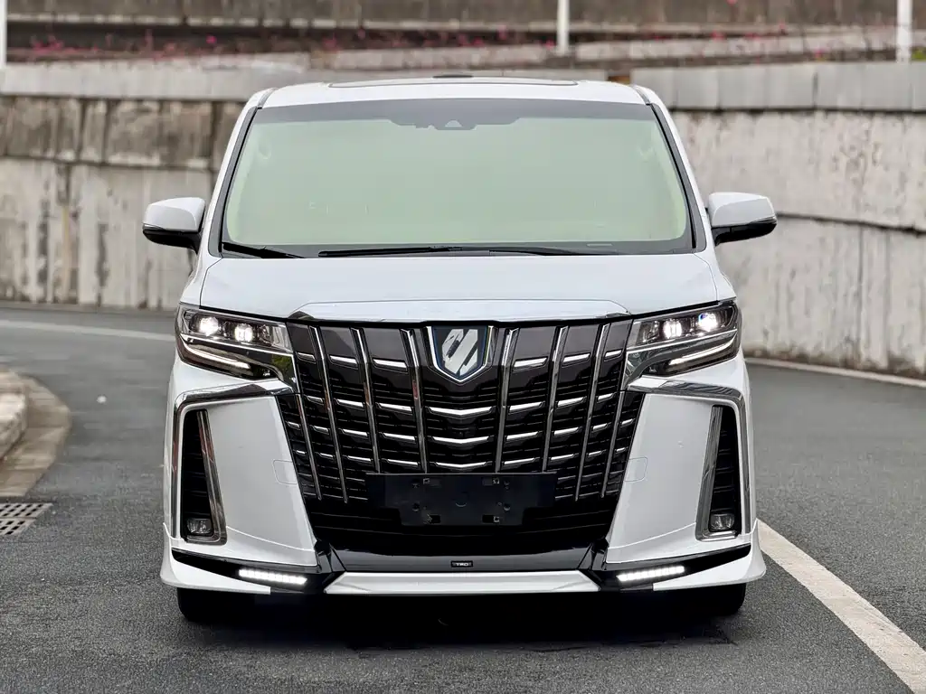 Alfa 2019 Shuangqing 2.5L Premium Edition купить на сайте DeffCars
