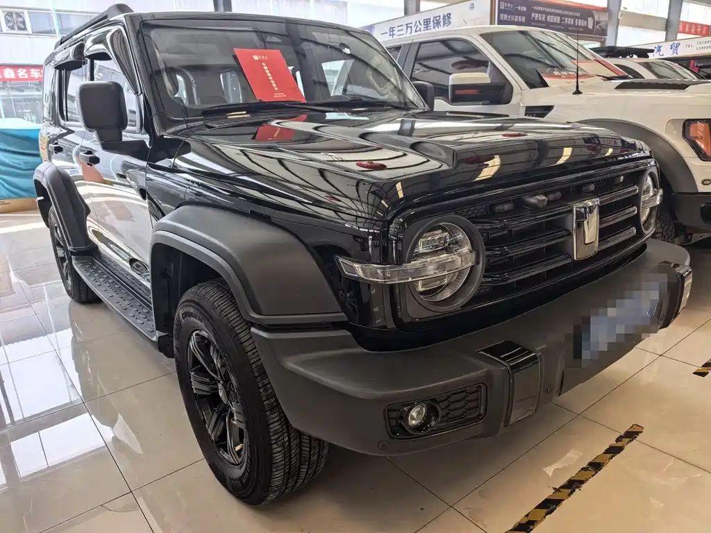 Tank 300 2023 Off-Road Version 2.0T Conqueror купить на сайте DeffCars