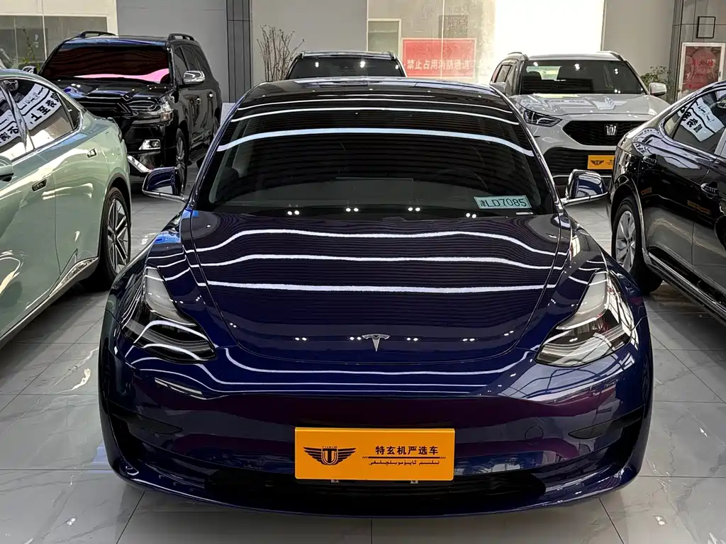 Model 3 2020 Standard Range Rear Drive Upgraded Version купить на сайте DeffCars