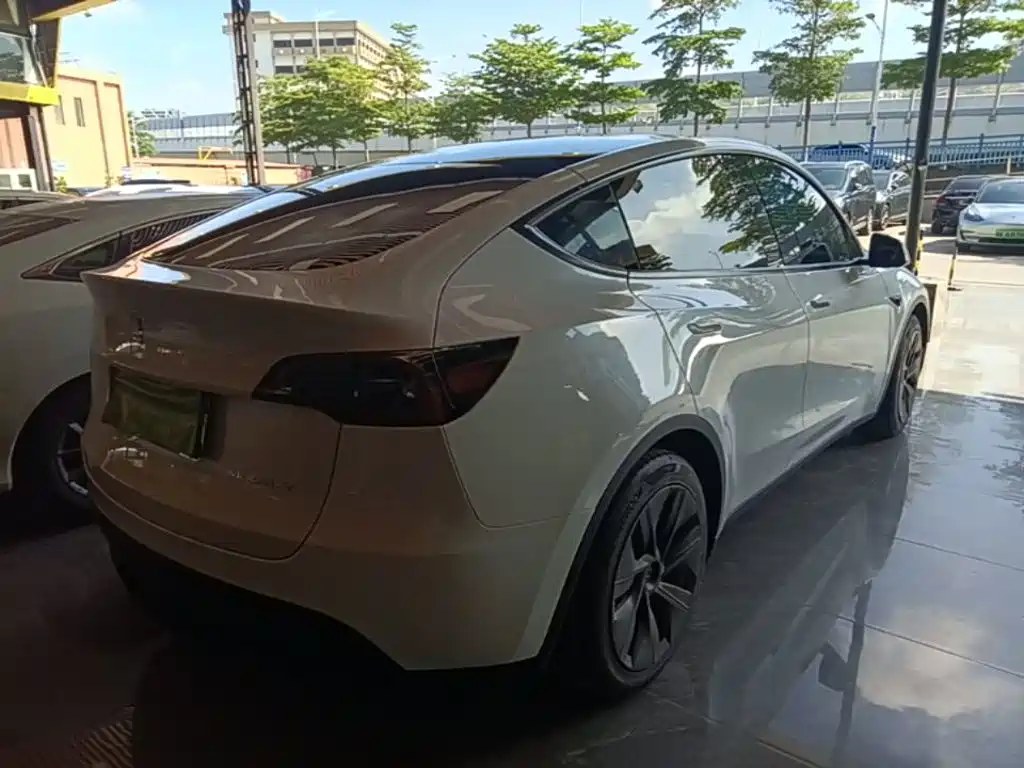 Model Y 2021 standard range rear-wheel drive version купить на сайте DeffCars