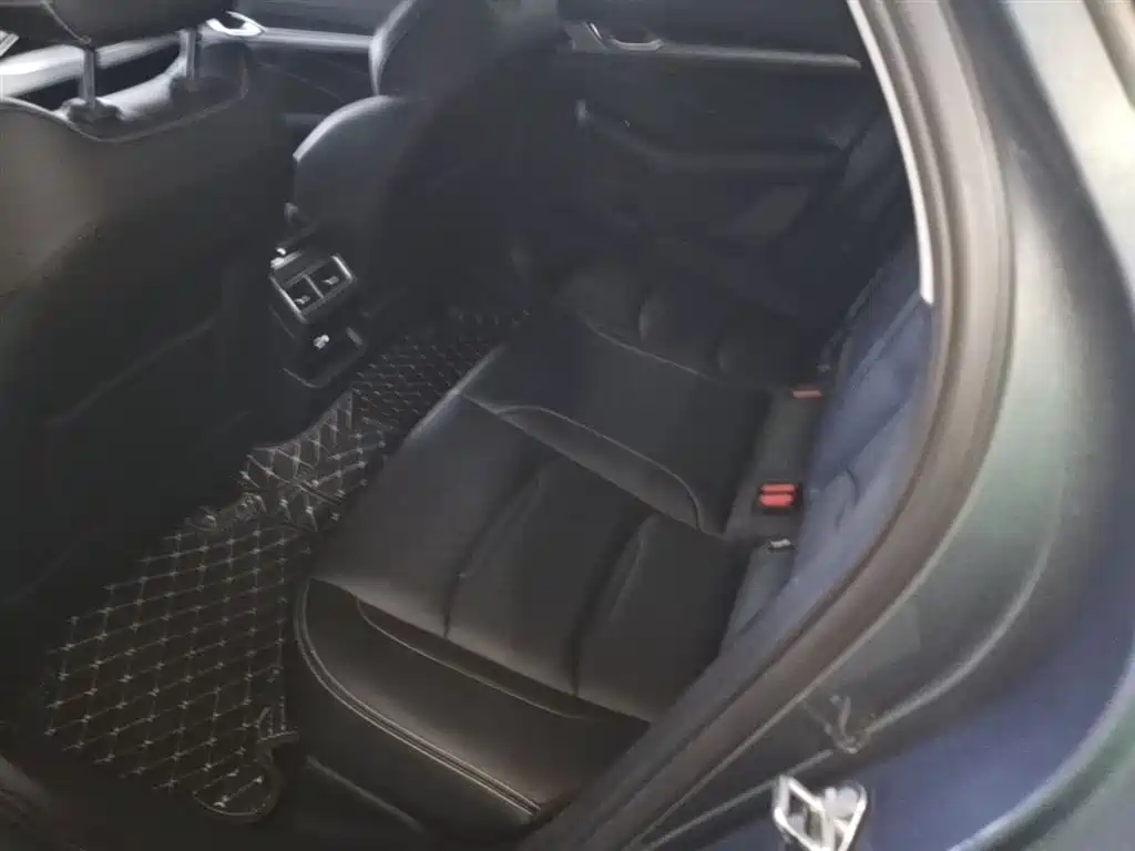 Xingrui 2021 2.0TD luxury model купить на сайте DeffCars