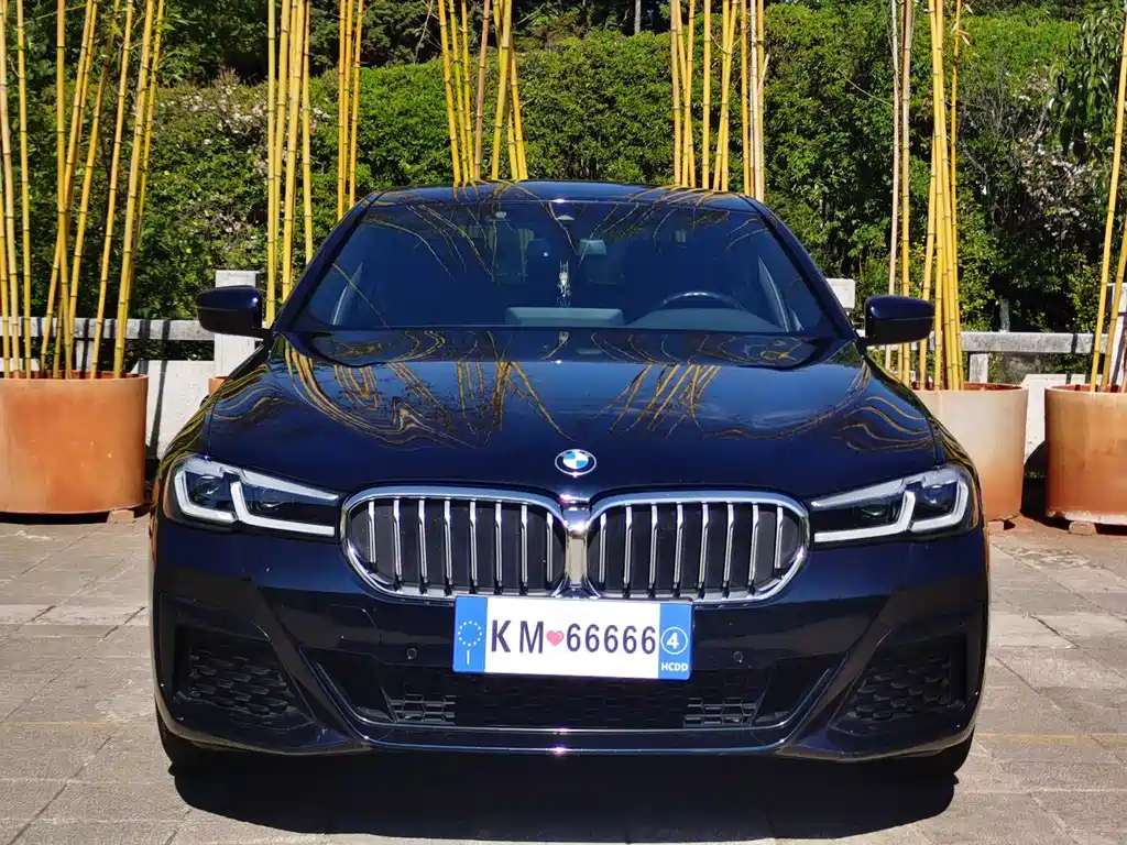 BMW 5 Series 2022 530Li Leading M Sports Package купить на сайте DeffCars