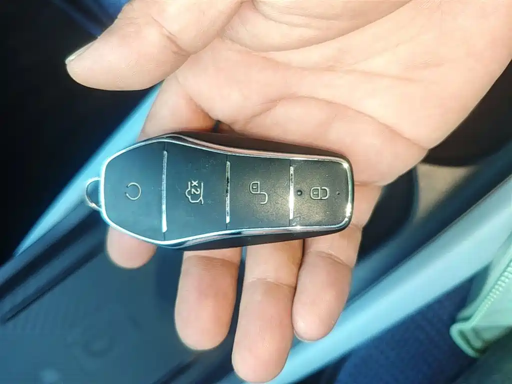 Seagull 2024 Honor Edition 305km Free Edition купить на сайте DeffCars