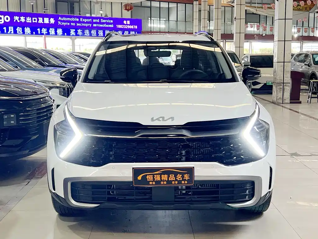 Lion Platinum Extends the World 2023 2.0T Two-wheel Drive Premium Edition купить на сайте DeffCars