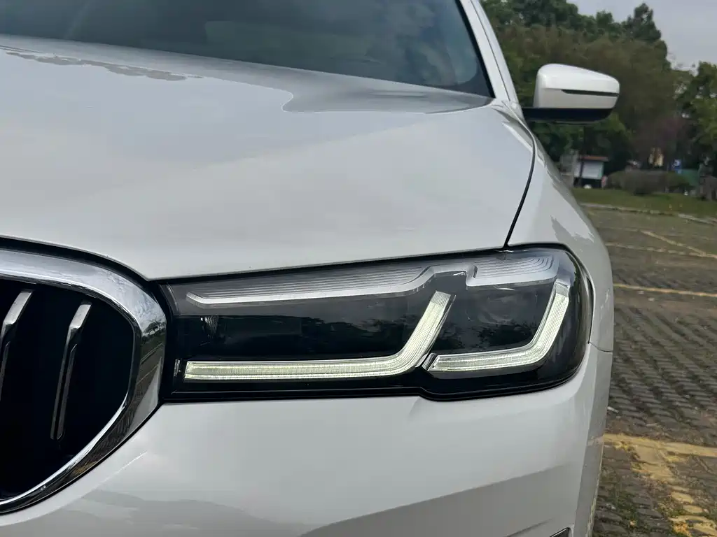 BMW 5 Series 2021 530Li Leading Luxury Package купить на сайте DeffCars