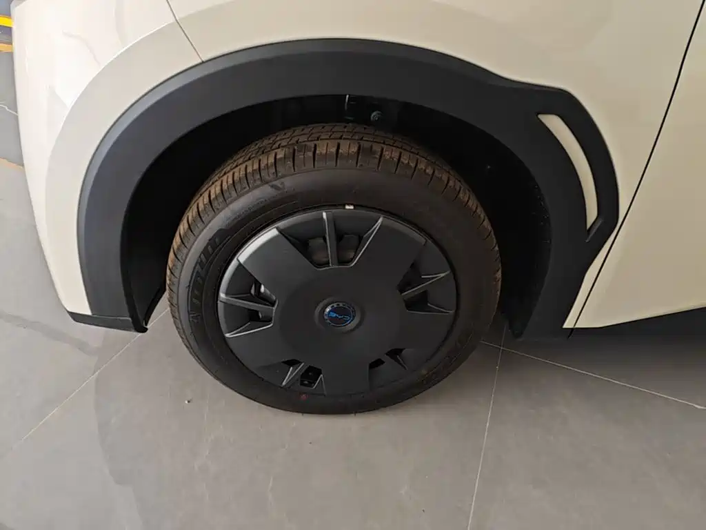Seagull 2025 Smart Driving Edition 305km Vitality Edition купить на сайте DeffCars