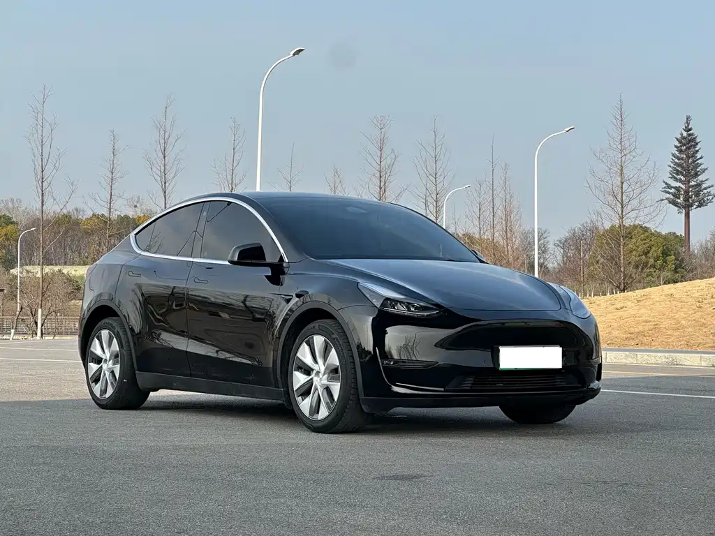 Model Y 2023 long-range all-wheel drive version купить на сайте DeffCars