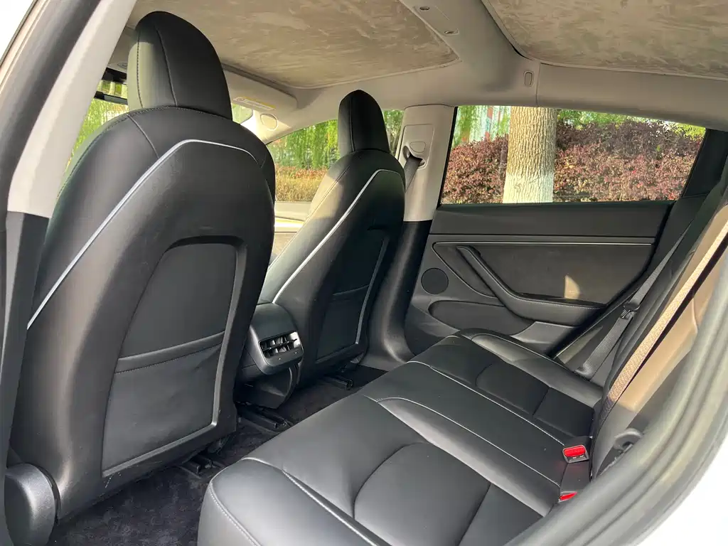 Model 3 2021 standard range rear drive upgraded version 3D6 купить на сайте DeffCars