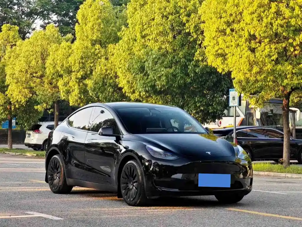 Model Y 2022 rear-wheel drive version купить на сайте DeffCars
