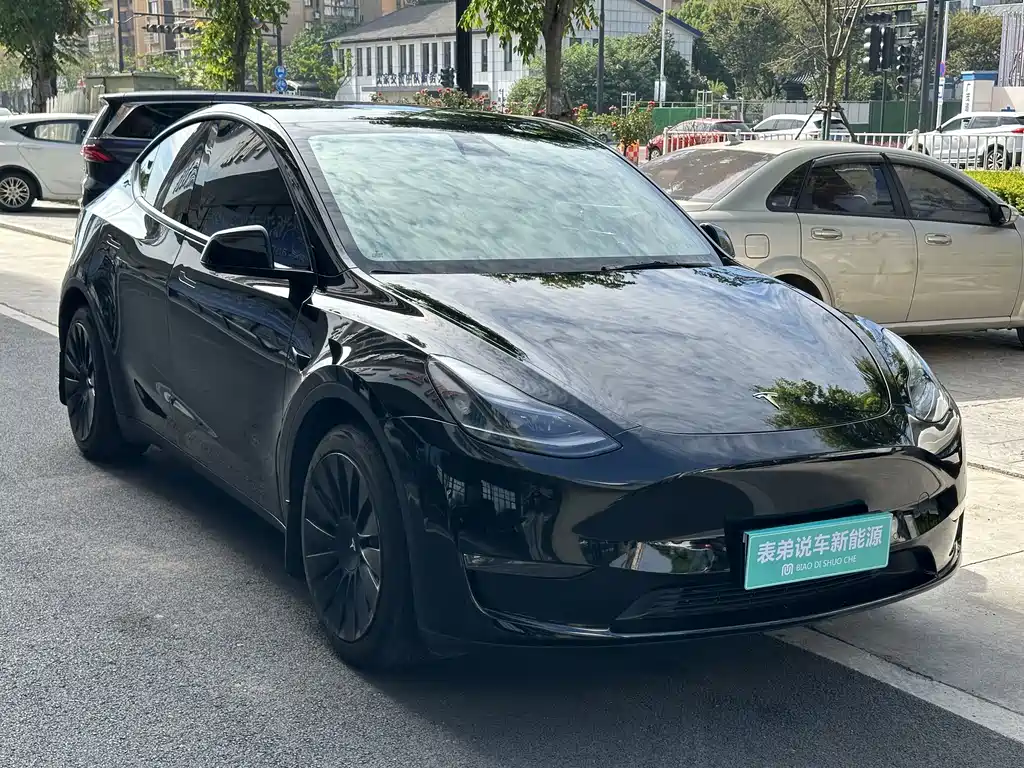 Model Y 2021 standard range rear-wheel drive version купить на сайте DeffCars