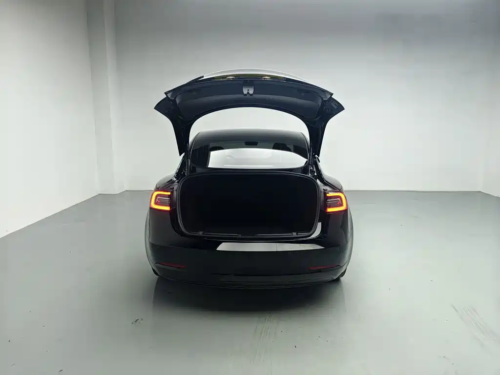 Model 3 2022 rear-wheel drive version купить на сайте DeffCars