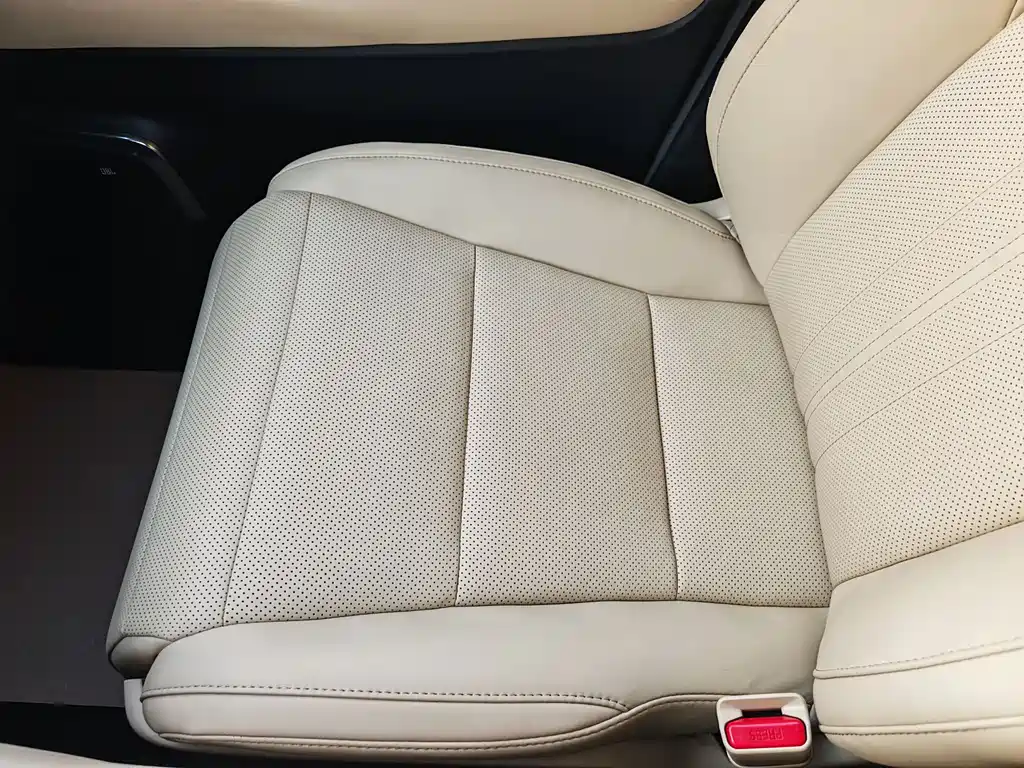 Alfa 2020 Shuangqing 2.5L Premium Edition купить на сайте DeffCars