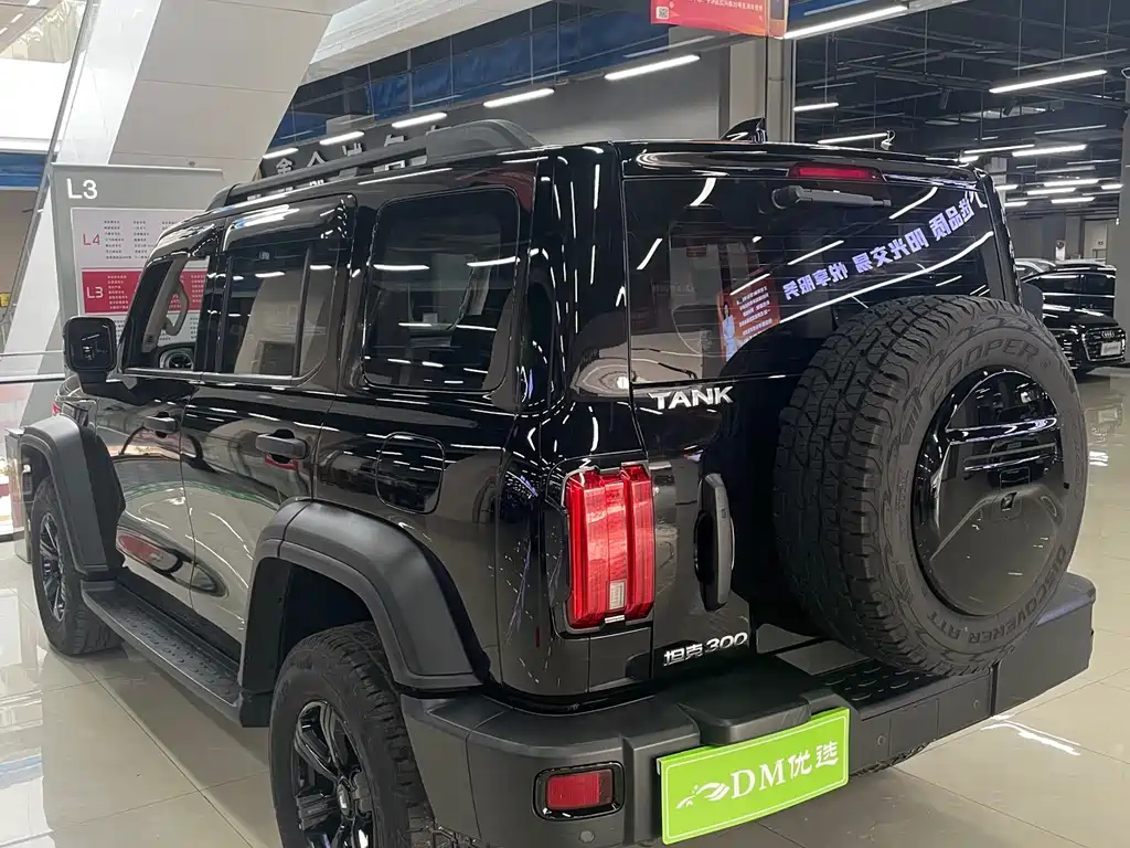 Tank 300 2023 Off-Road Version 2.0T Conqueror купить на сайте DeffCars