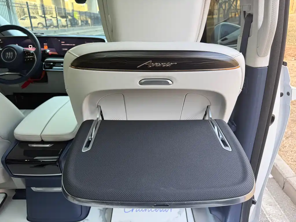 Century 2023 2.0T Six-seater Yuanshi Edition купить на сайте DeffCars