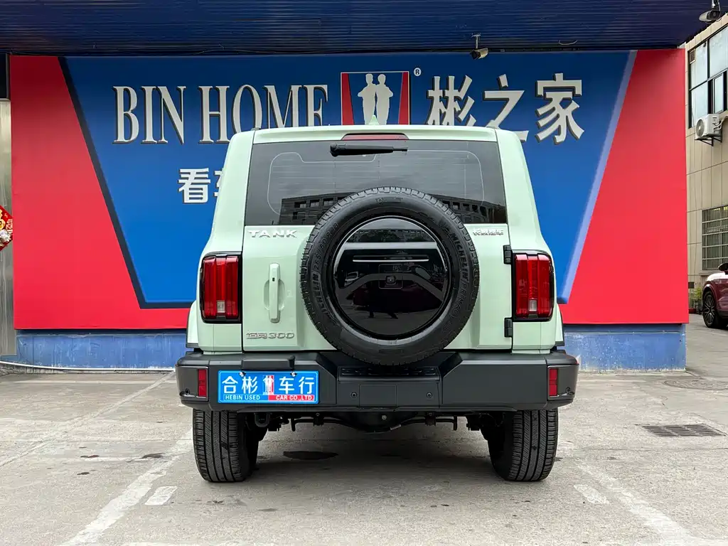 Tank 300 2021 City Edition 2.0T Very Stylish купить на сайте DeffCars