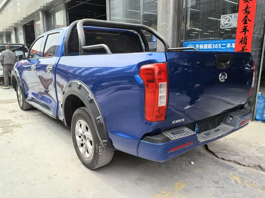 Cannon 2021 2.0T commercial version manual diesel two-wheel drive elite long box GW4D20M купить на сайте DeffCars