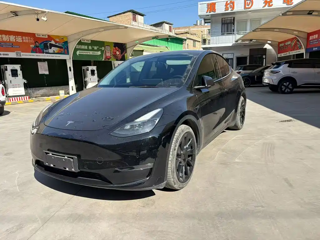 Model Y 2021 standard range rear-wheel drive version купить на сайте DeffCars