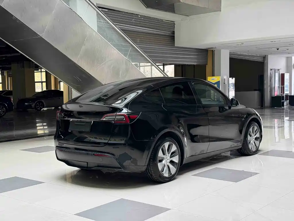 Model Y 2021 standard range rear-wheel drive version купить на сайте DeffCars