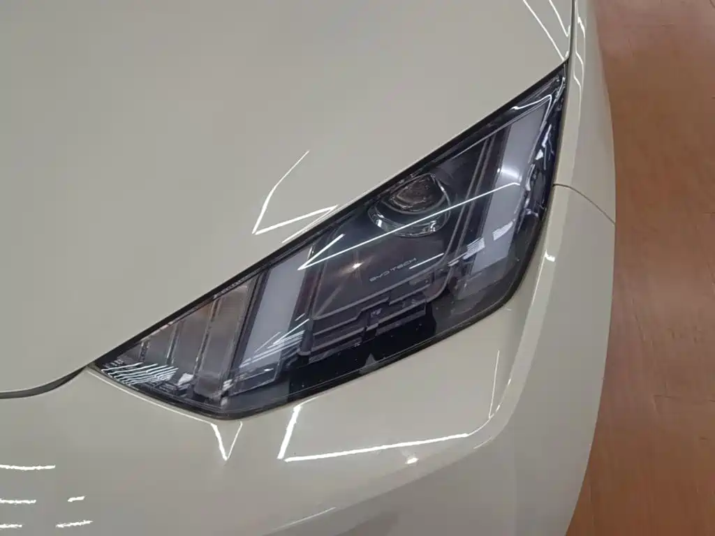 Seagull 2023 Vitality Edition купить на сайте DeffCars