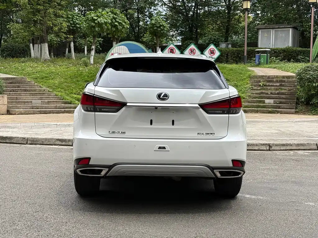 Lexus RX 2020 300 2WD Elite Edition National VI купить на сайте DeffCars
