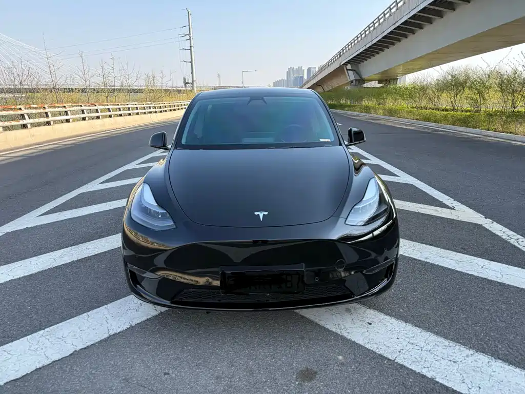 Model Y 2021 standard range rear-wheel drive version купить на сайте DeffCars
