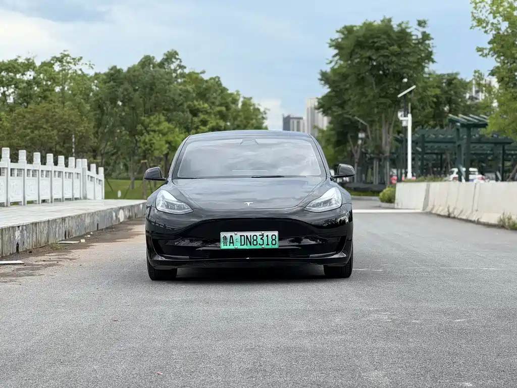 Model 3 2022 rear-wheel drive version купить на сайте DeffCars