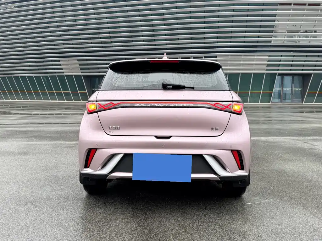 Dolphin 2025款 420km 自由版 купить на сайте DeffCars