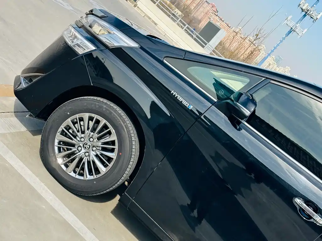 Wilfa 2020 Shuangqing 2.5L Black Gold Limited Edition купить на сайте DeffCars