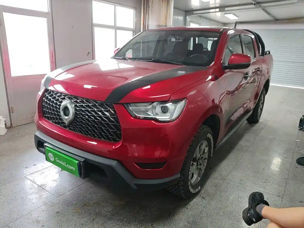 Cannon 2021 2.0T commercial version manual diesel two-wheel drive elite standard box GW4D20M купить на сайте DeffCars