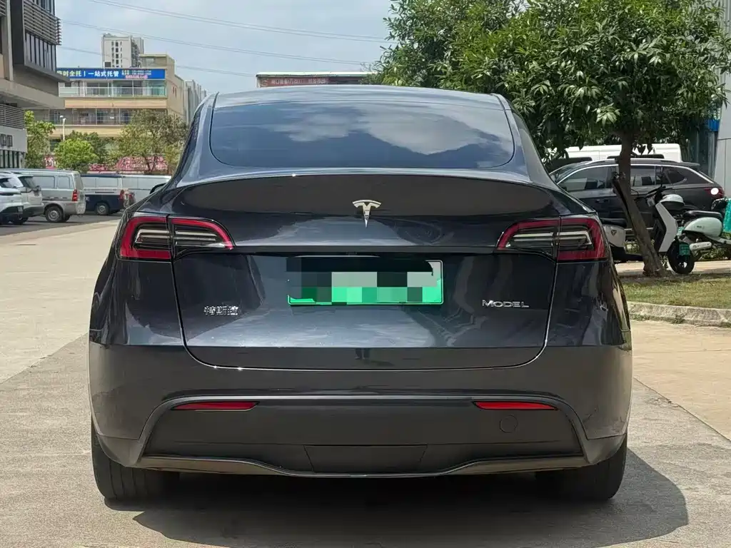 Model Y 2024 rear-wheel drive version купить на сайте DeffCars