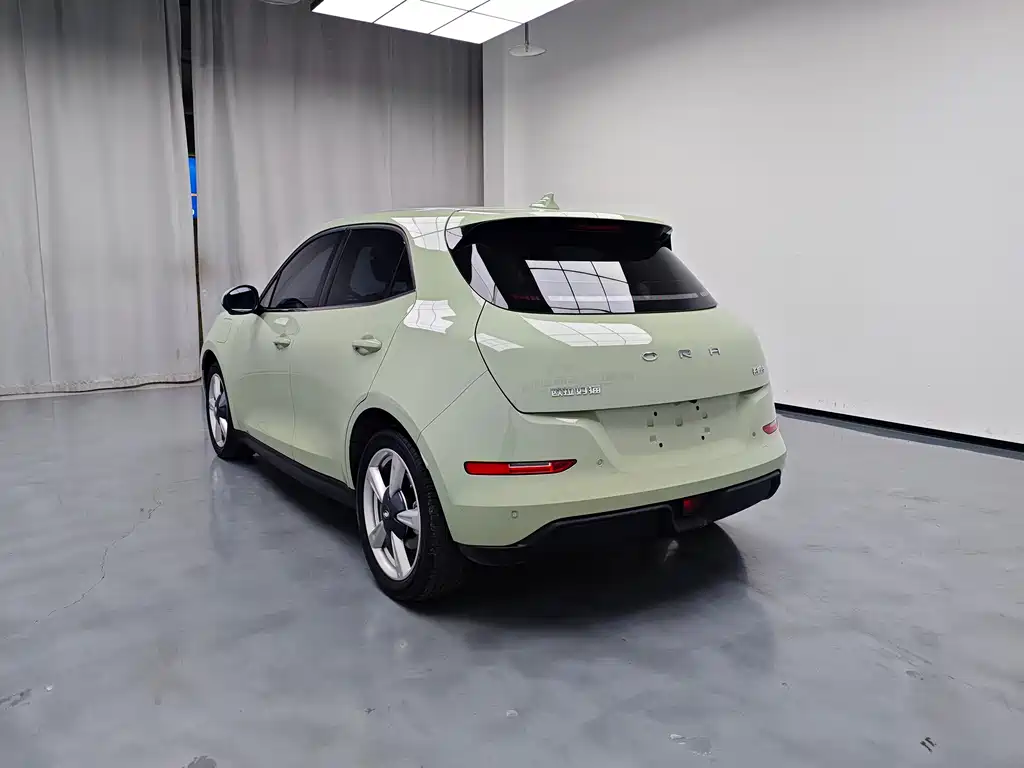 Euler Good Cat 2023 model 401km standard battery life luxury model lithium iron phosphate купить на сайте DeffCars