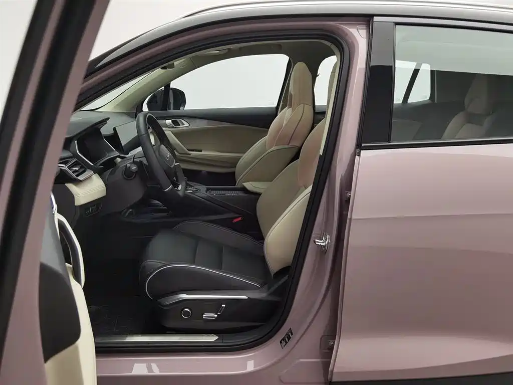 Lynk & Co 06 2021 1.5T Shero Pink Special Edition купить на сайте DeffCars