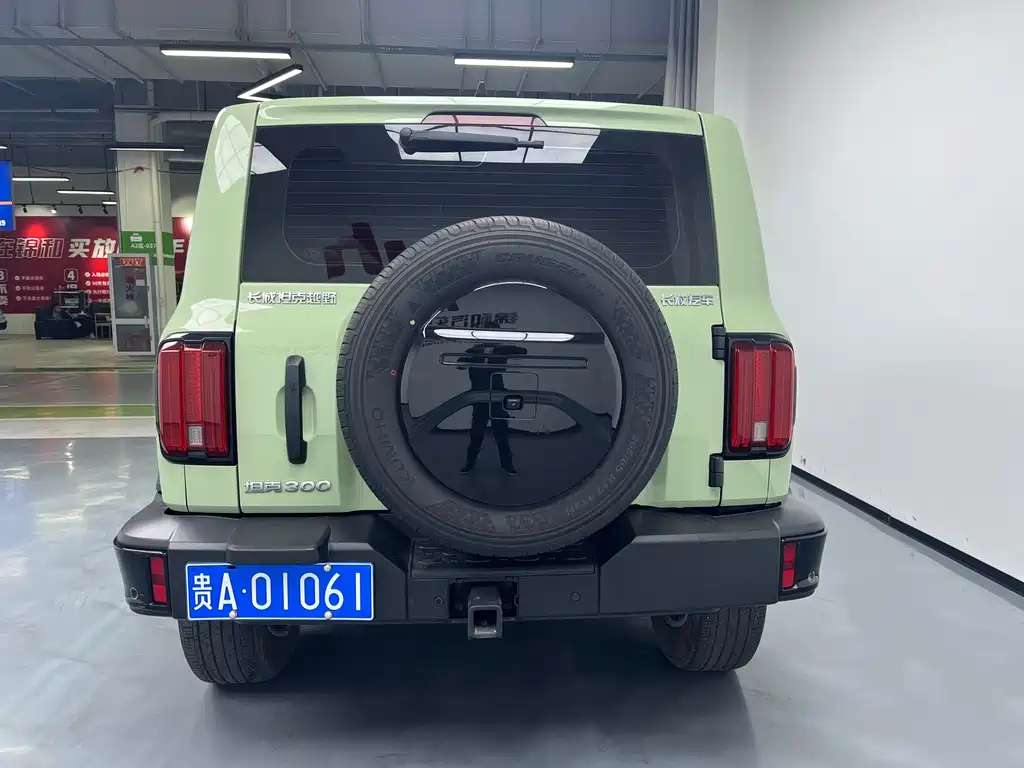 Tank 300 2024 2.0T Conqueror купить на сайте DeffCars