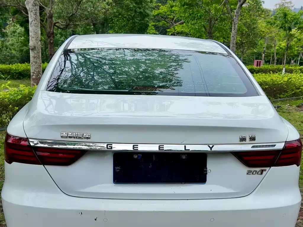 Binrui 2019 200T DCT Binchi Edition купить на сайте DeffCars