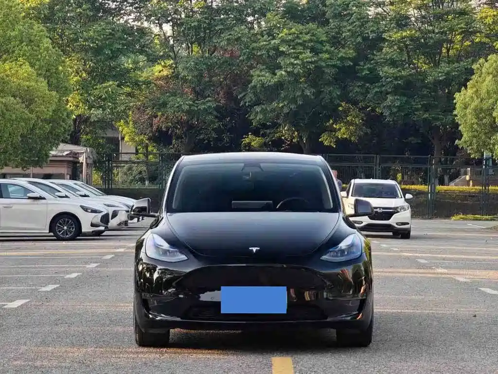 Model Y 2022 rear-wheel drive version купить на сайте DeffCars